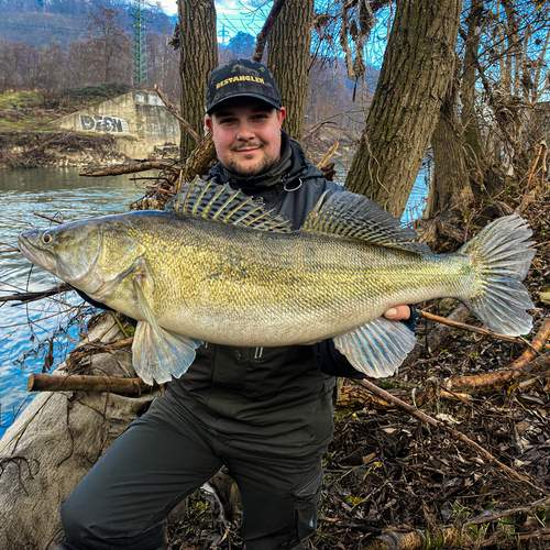 BESTANGLER angler catch photo