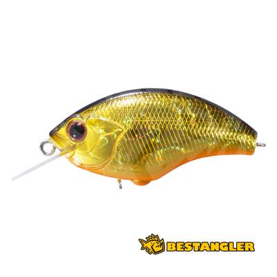 O.S.P Blitz Black Gold Orange Belly H-04