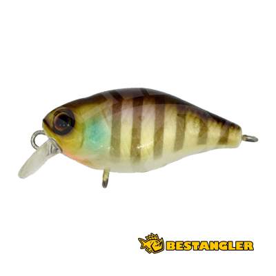 Jackall Chubby 38F Noike Gill