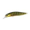 DUO Realis Rozante 77SP Gold Perch ASA3146