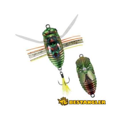 DUO Realis Koshinmushi Kinkame CCC3218