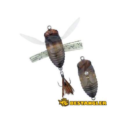 DUO Realis Shinmushi Semigara CCC3203