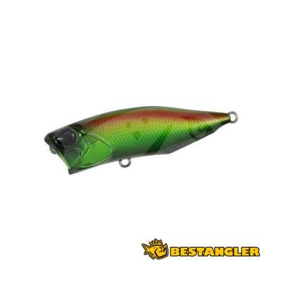 DUO Realis Popper 64 Jewel Beetle CCC3177