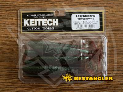 Keitech Easy Shiner 4" Plum Green FLK - #302